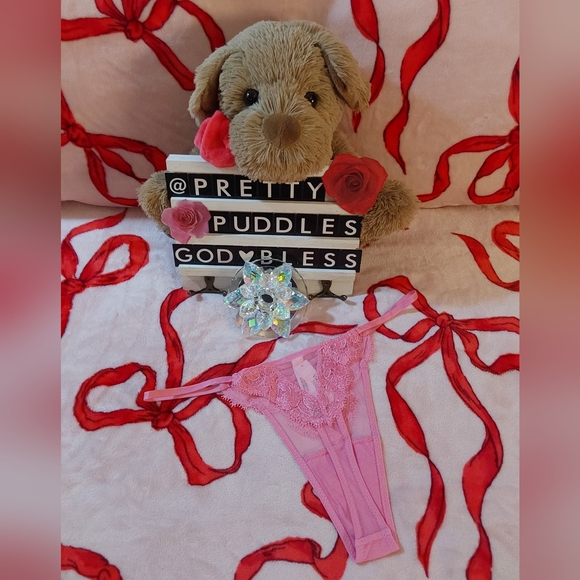 🌷 VS Dream Angels Boho Floral Embroidery Thong Panty 🌷 - Picture 5 of 16